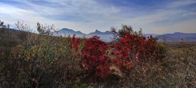 Прикрепленное изображение: kNiLaOoO2nI.jpg